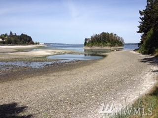 115 Hadlock Bay Rd - Photo 1