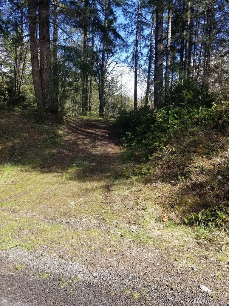 1781 Tahuya River Dr - Photo 1
