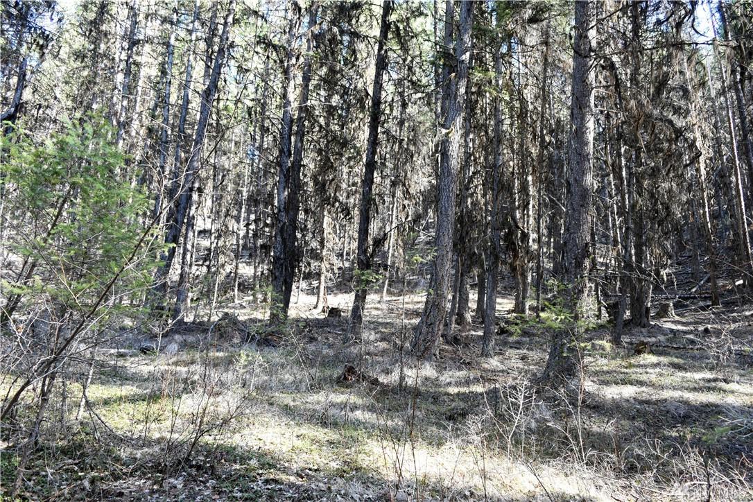 0 Willey's Gulch Rd - Photo 1