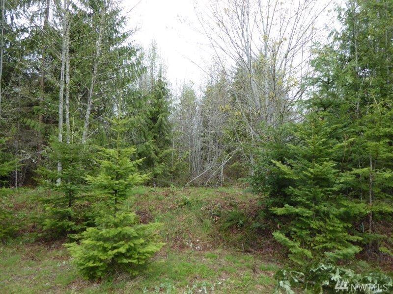 0-xxx Ripplebrook Dr - Photo 1