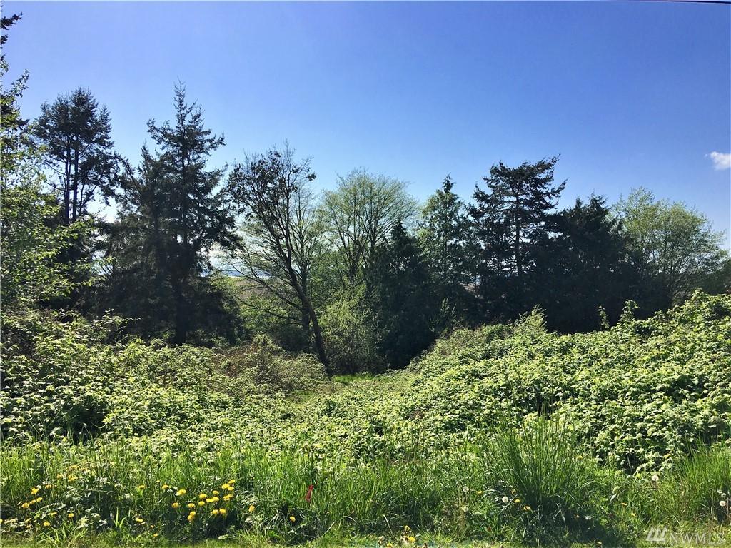 0 Perry Lot 135 & Lot 136 Dr - Photo 1