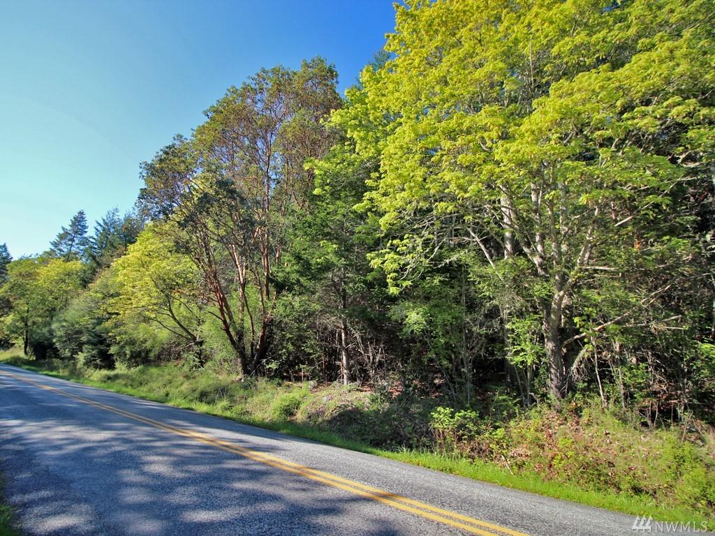 0 West Side Rd - Photo 1