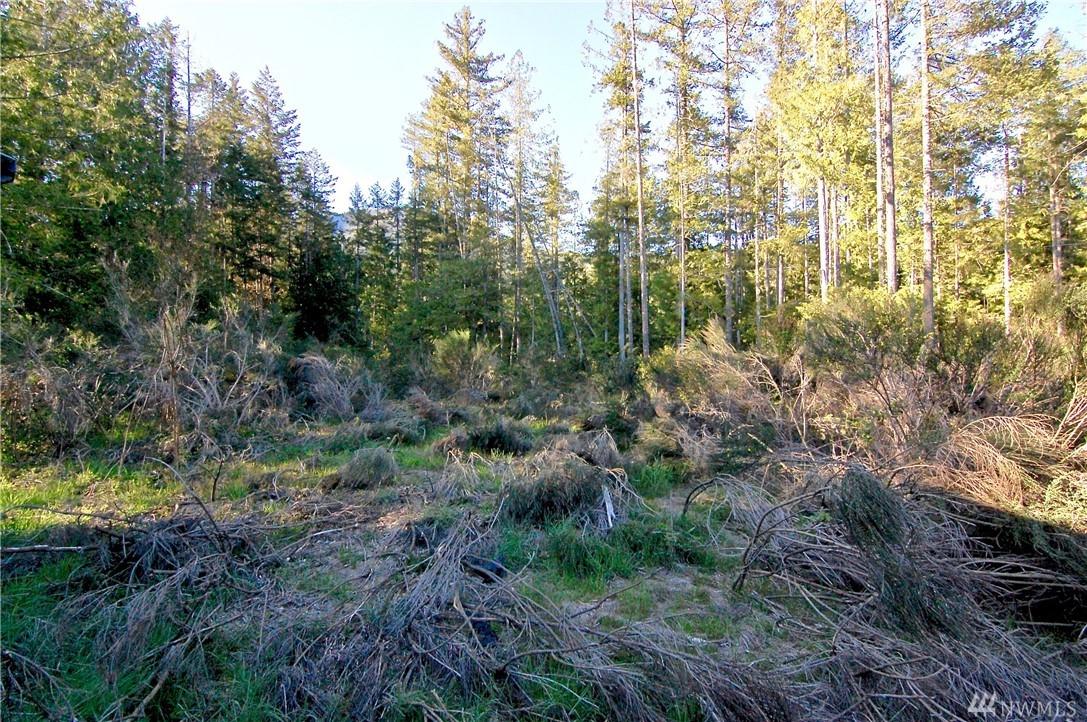0 Duckabush Rd - Photo 1