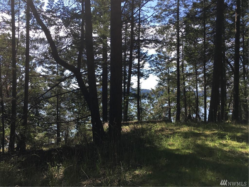 43 Reed Bay Rd - Photo 1