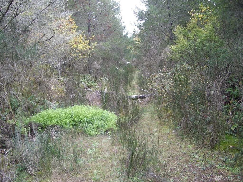792 Jensen Rd - Photo 1