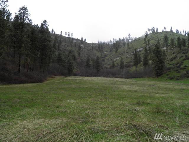 67 Karl Downs Lane - Photo 1