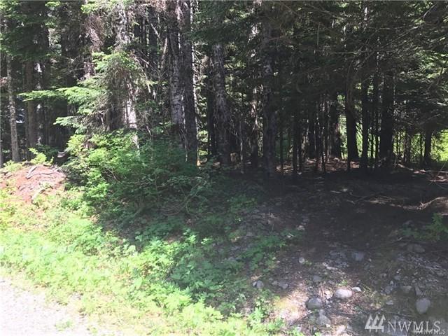 94 Huckleberry Peak Rd - Photo 1