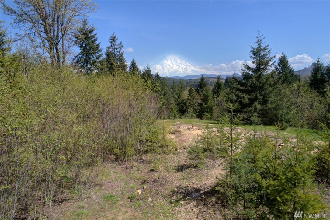 15521 Scott Turner Rd - Photo 1