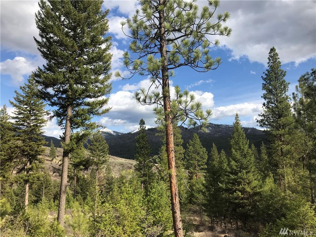 2-TBD Old Kettle Falls Rd - Photo 1