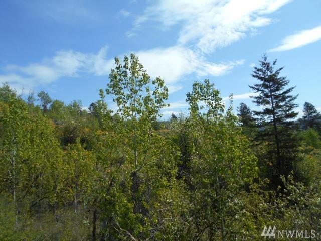 123 Bottom Rd - Photo 1