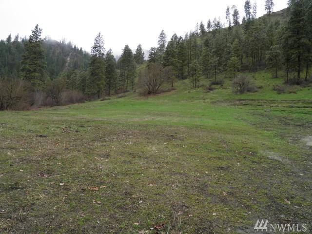 59 Karl Downs Lane - Photo 1