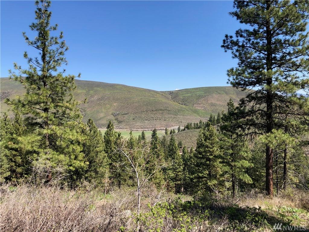10-R Whitebark Lane - Photo 1