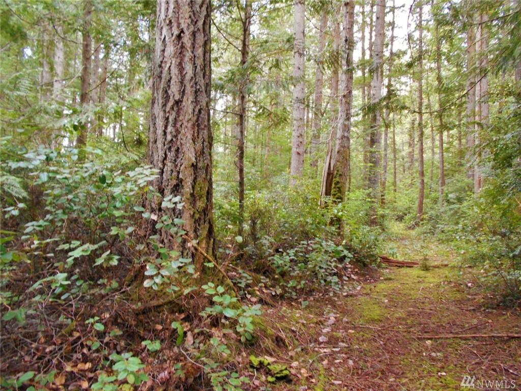 0 Rhododendron Lane - Photo 1