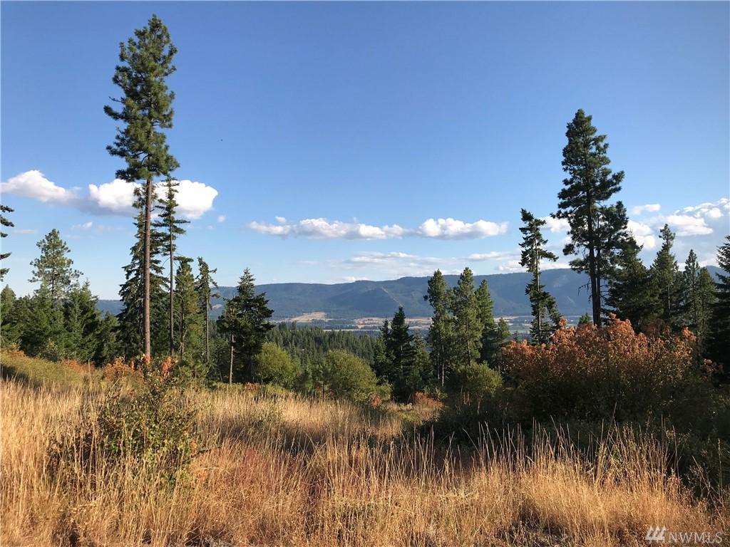0-XXX Horizon Ridge Dr - Photo 1