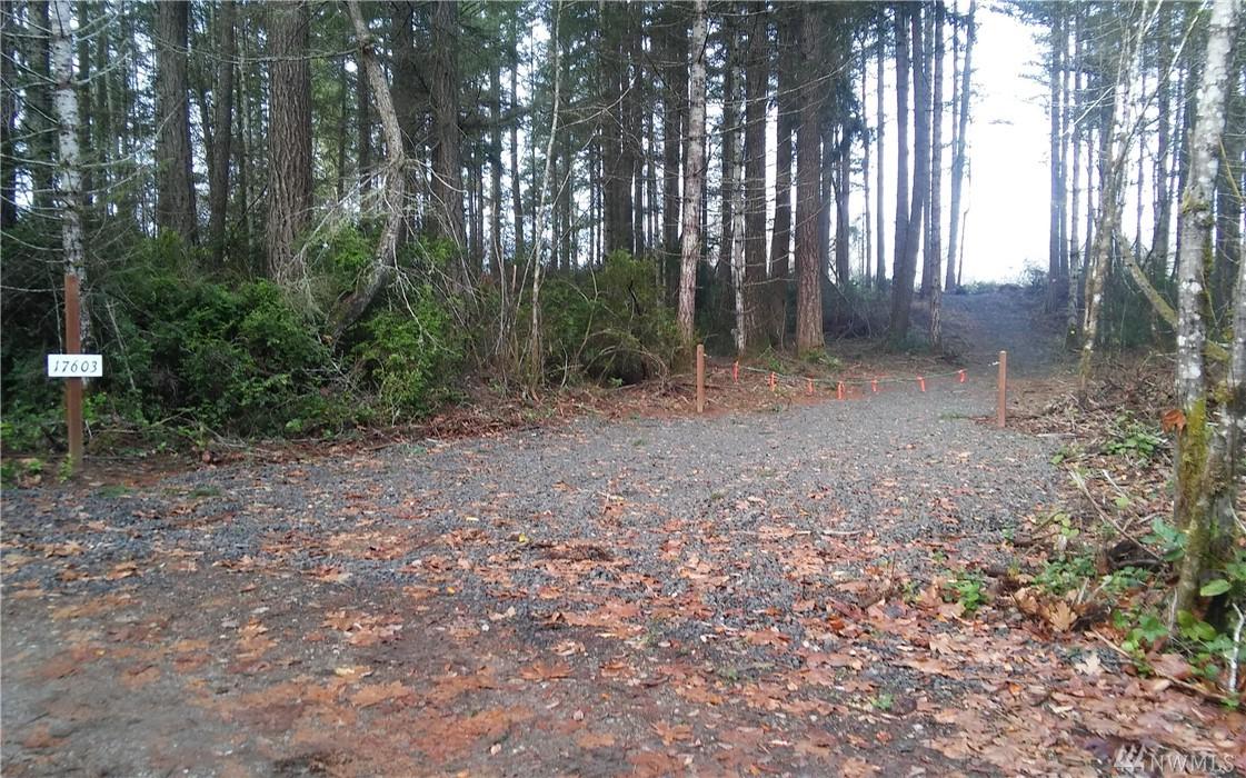 17603 103rd St Ct - Photo 1