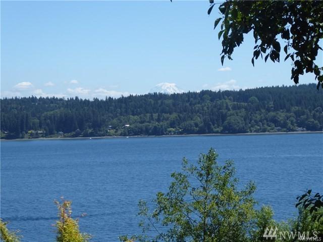 10509 Vashon Vista Dr - Photo 1