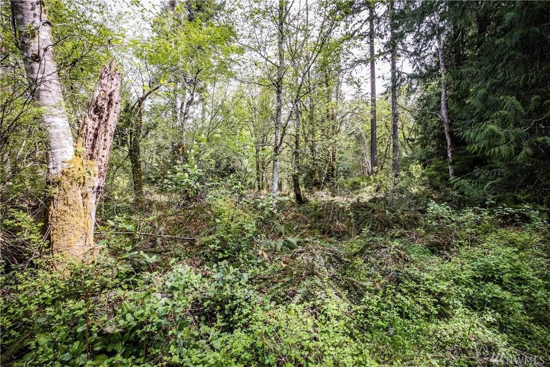 71 Fraser Rd - Photo 1