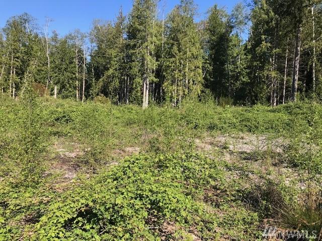 6434 Buck Lake Rd - Photo 1