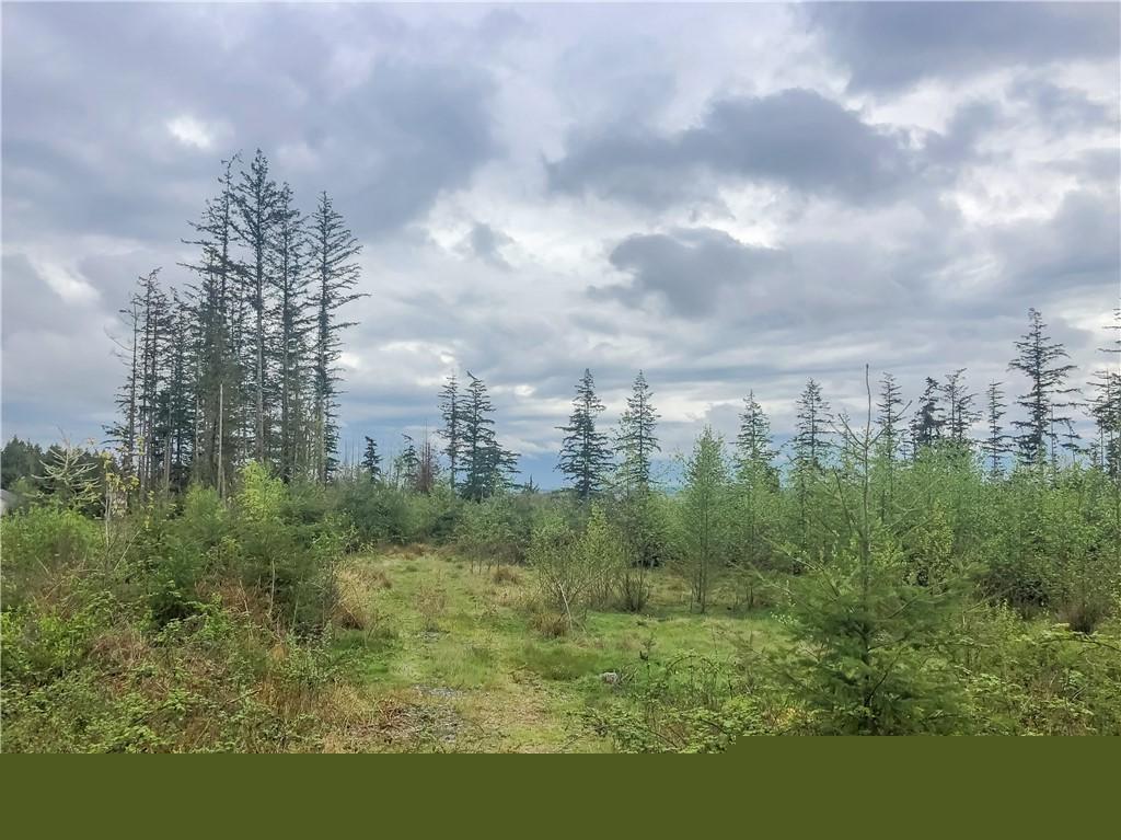 132-xx Marihugh Rd Lot 2 - Photo 1