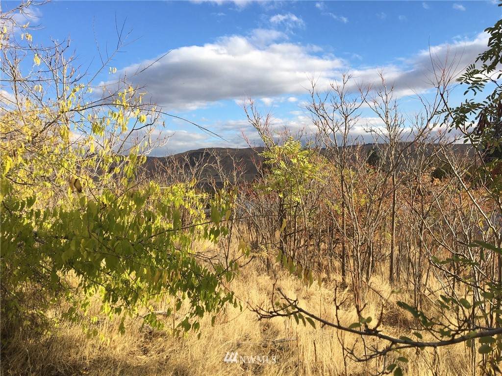 917 Bridge Street - Photo 1