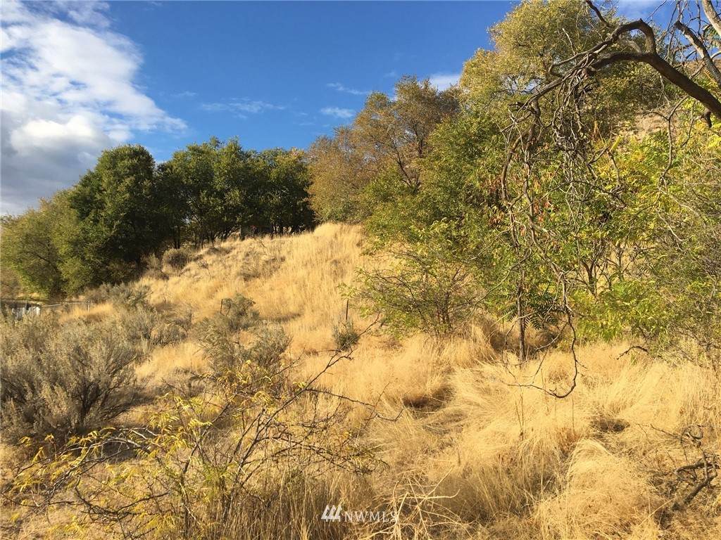 919 Bridge Street - Photo 1