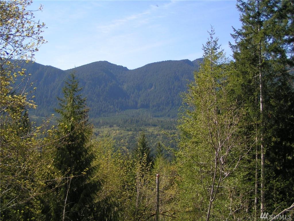 232431 Hwy 101 - Photo 1