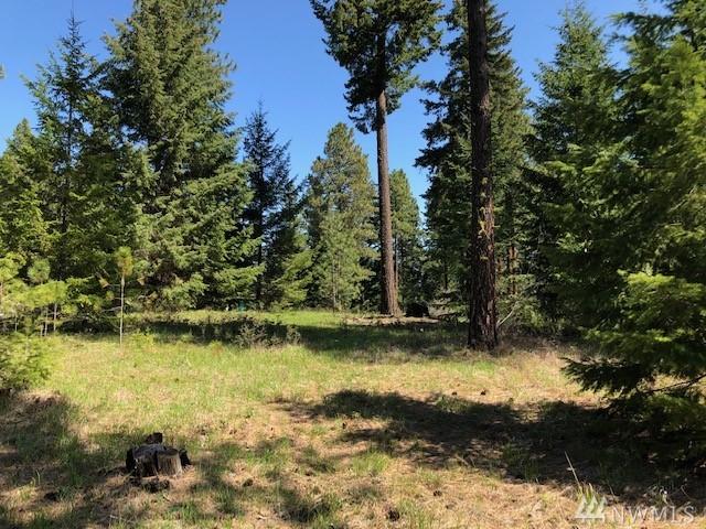 80 Bunchberry Ct - Photo 1
