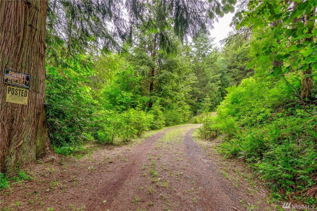 800 Germany Creek Rd - Photo 1