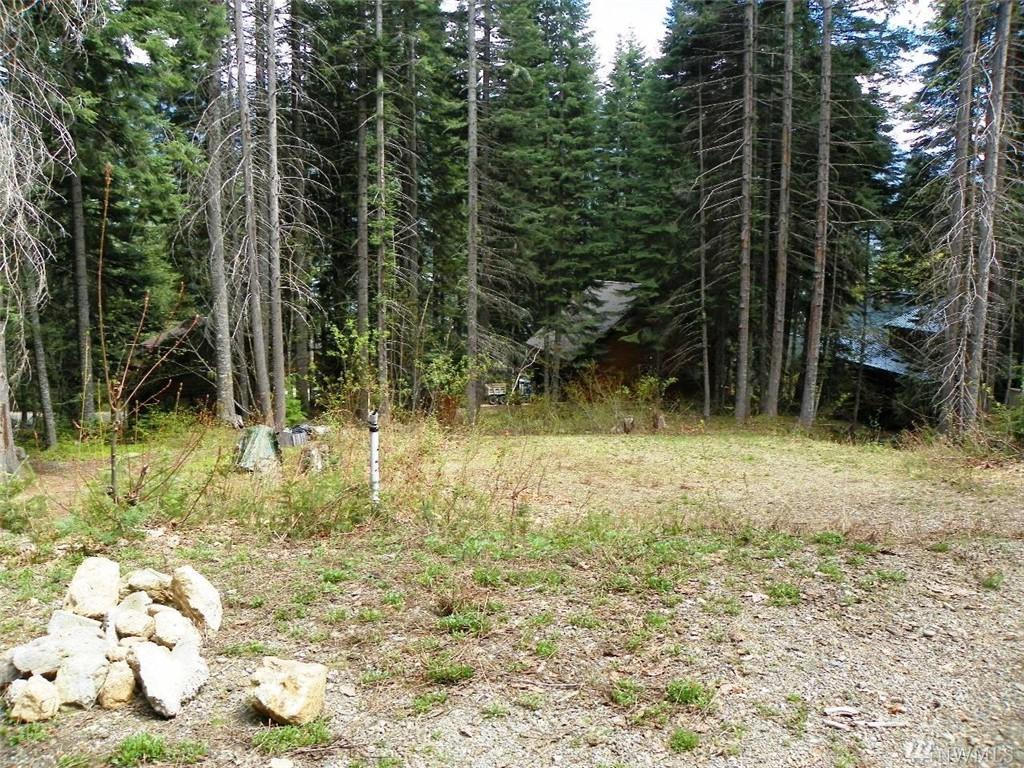 150 Mtn Home Lane - Photo 1