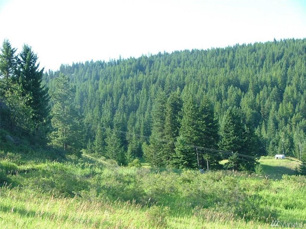 75 Snowshoe Rd - Photo 1