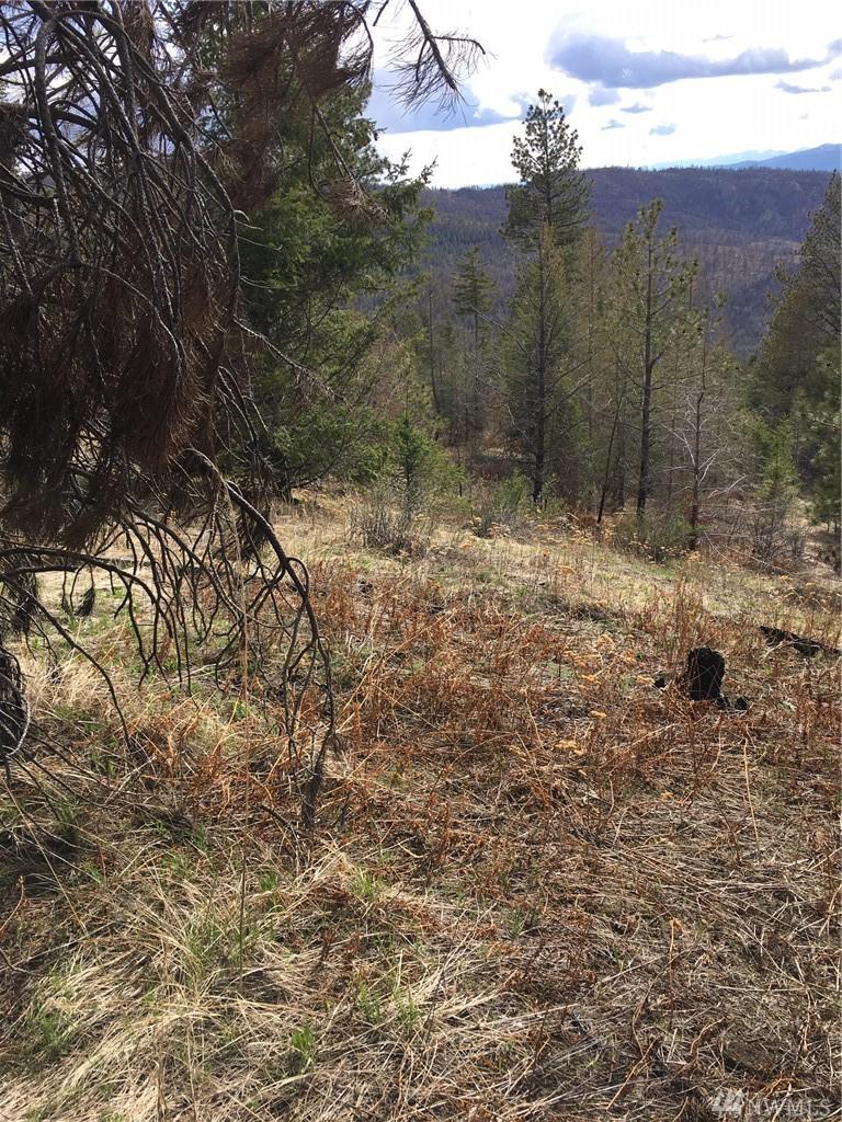0 Tbd Chewiliken Valley Rd - Photo 1