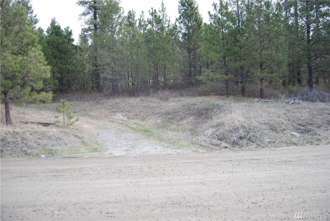 1769 Tunk Creek Road - Photo 1