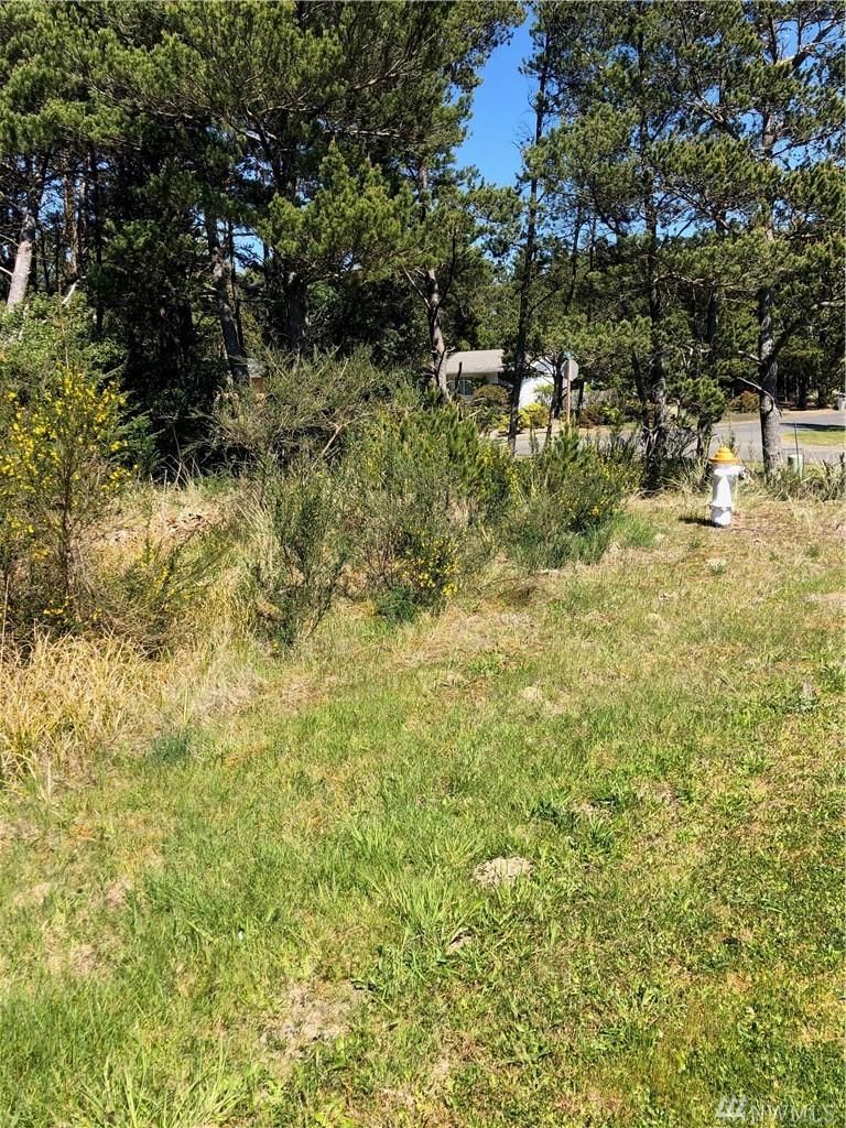 0-Lot 2 Driftwood Lane - Photo 1
