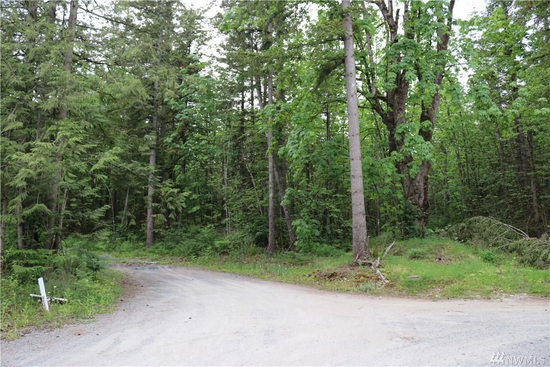 8233 Telegraph Rd - Photo 1