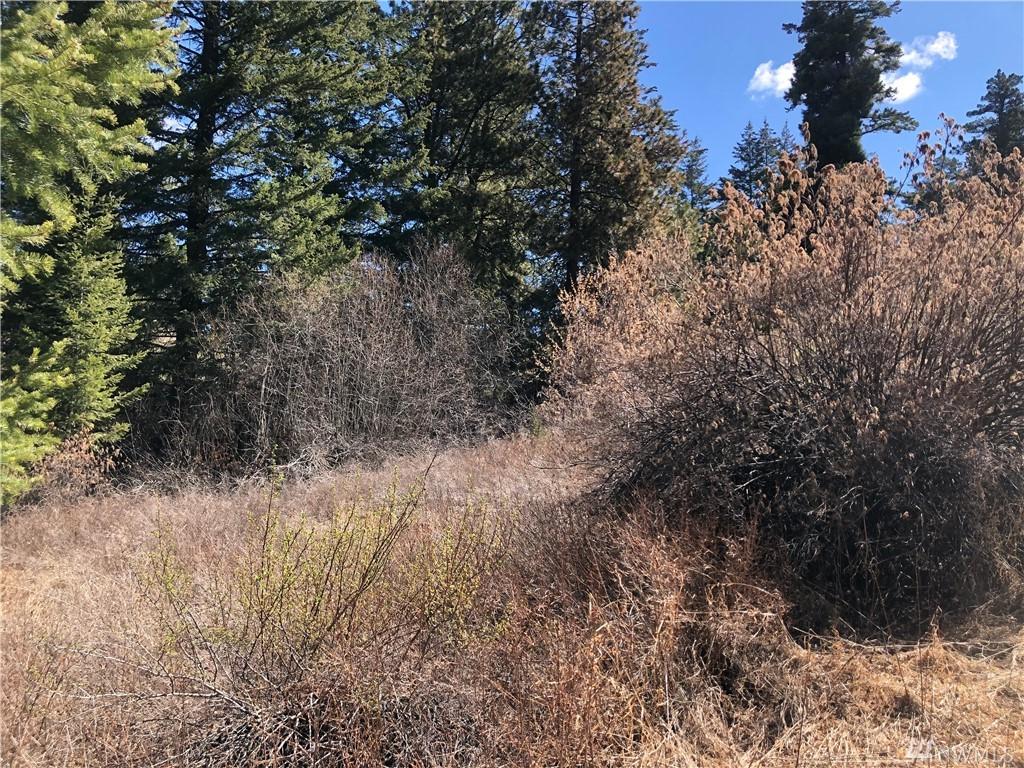 421 Hummingbird Rd - Photo 1