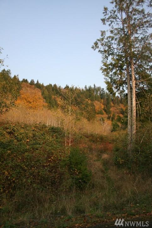 0-Lot 15 Maple Ridge Rd - Photo 1