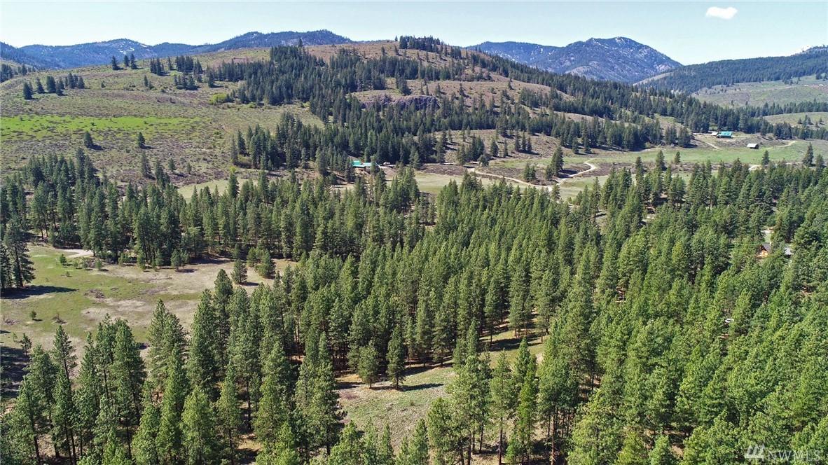 67 Lobos Run Rd - Photo 1