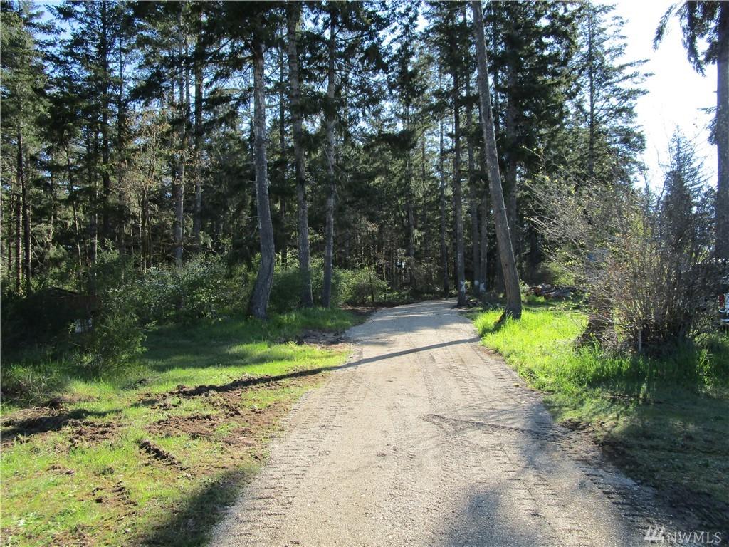 0 Shelton Springs Road - Photo 1