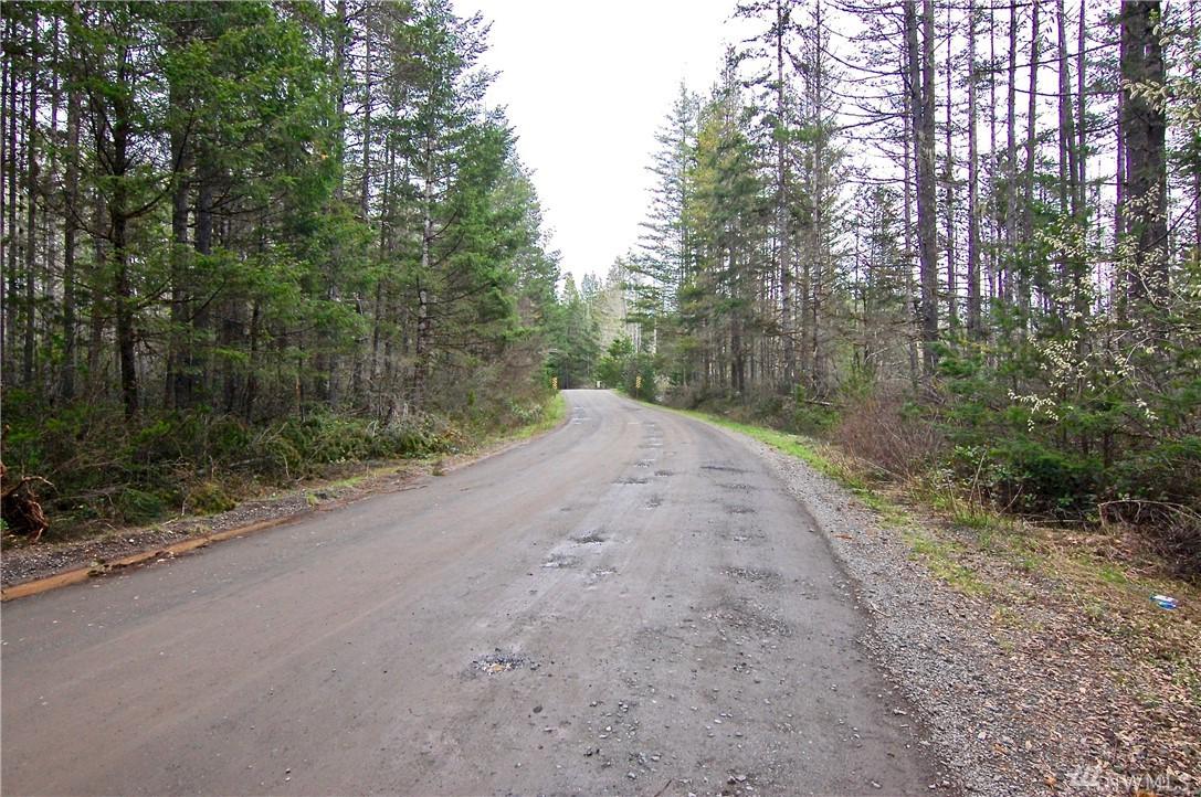 0 Toonerville Rd - Photo 1