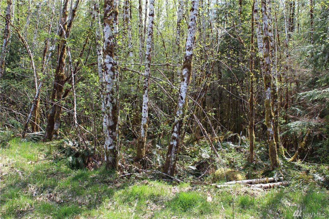 0 Grouse Glen - Photo 1
