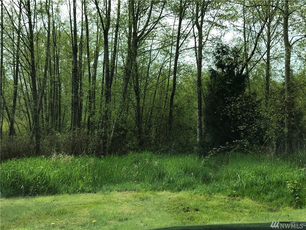 0-Lot 80 Custer Rd - Photo 1