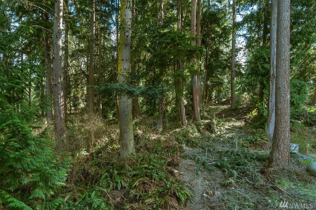 0-XXX Cultus Bay Rd - Photo 1