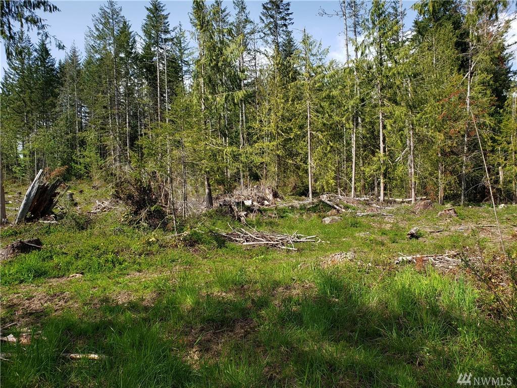 0-E Agate Rd - Photo 1