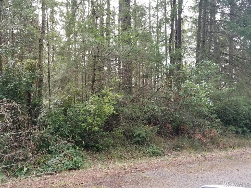 11921 112th Ave - Photo 1