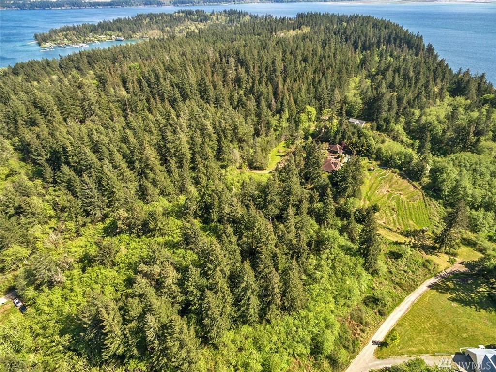 12918 134th Ave - Photo 1
