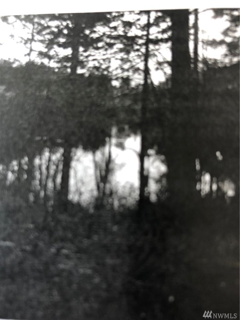 2001 Hanks Lake Rd - Photo 1