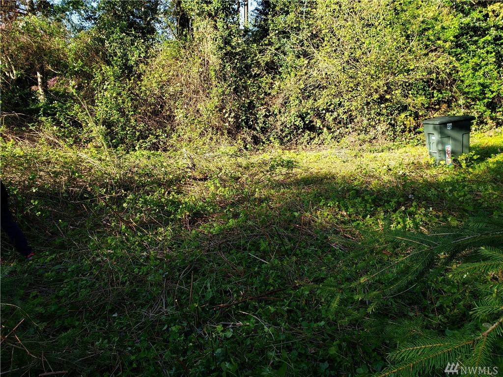 16738 37th Ave - Photo 1