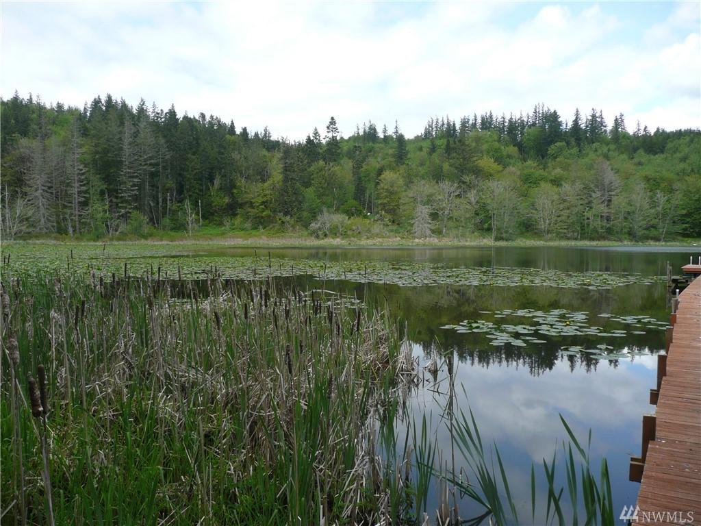 0 Rice Lake Rd - Photo 1