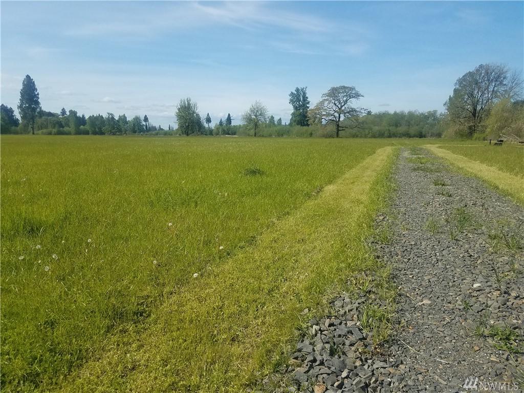 465 Newaukum Valley Rd - Photo 1