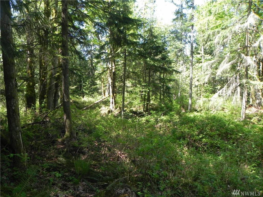 4481 286th Ave - Photo 1